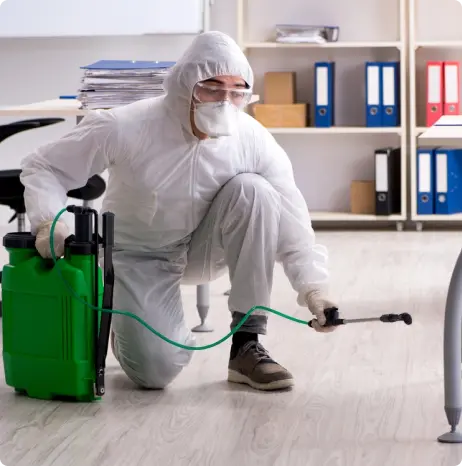 Expert pest exterminator ensuring clean and pest-free homes in Dubai