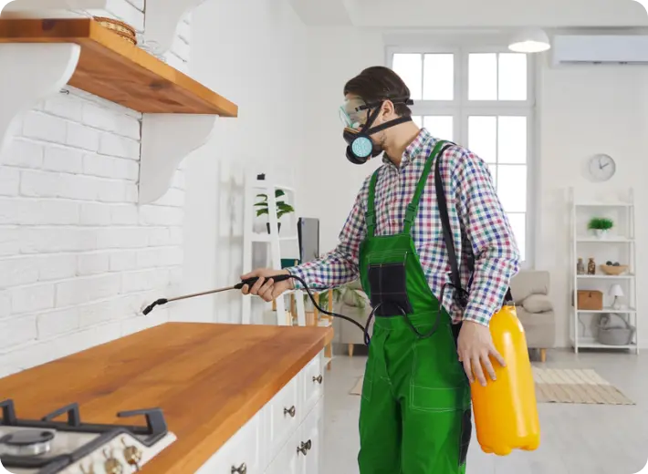 Pest control technician spraying kitchen cabinets in Dubai with professional treatment to remove