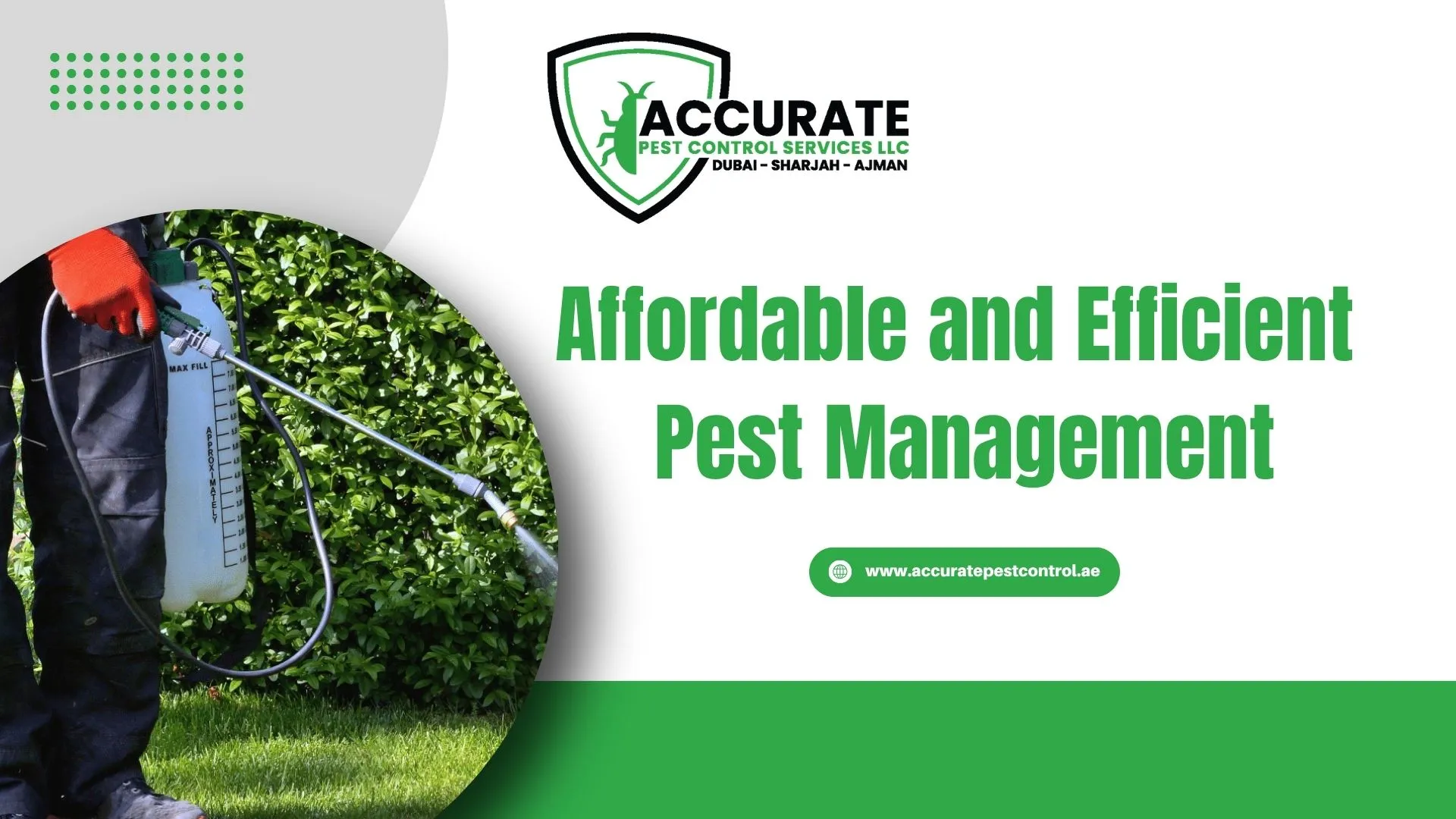 Affordable pest management service using professional spraying equipment under Dubai Municipality standards