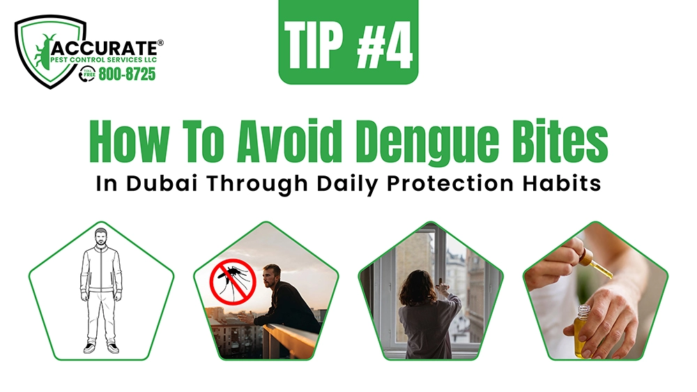 Daily protection habits to avoid dengue bites in Dubai homes