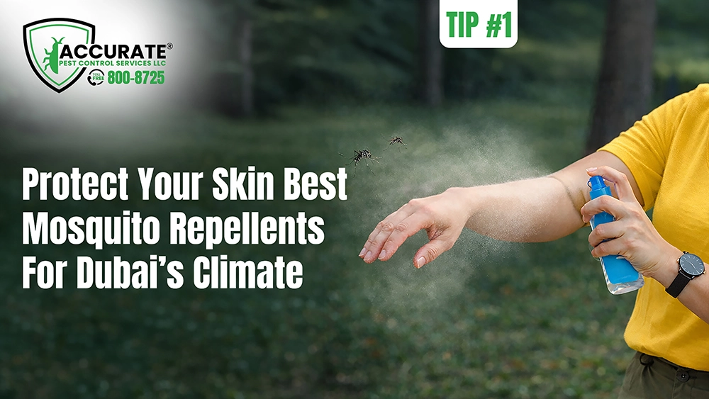 Mosquito control around your property with simple landscaping solutions in Dubai