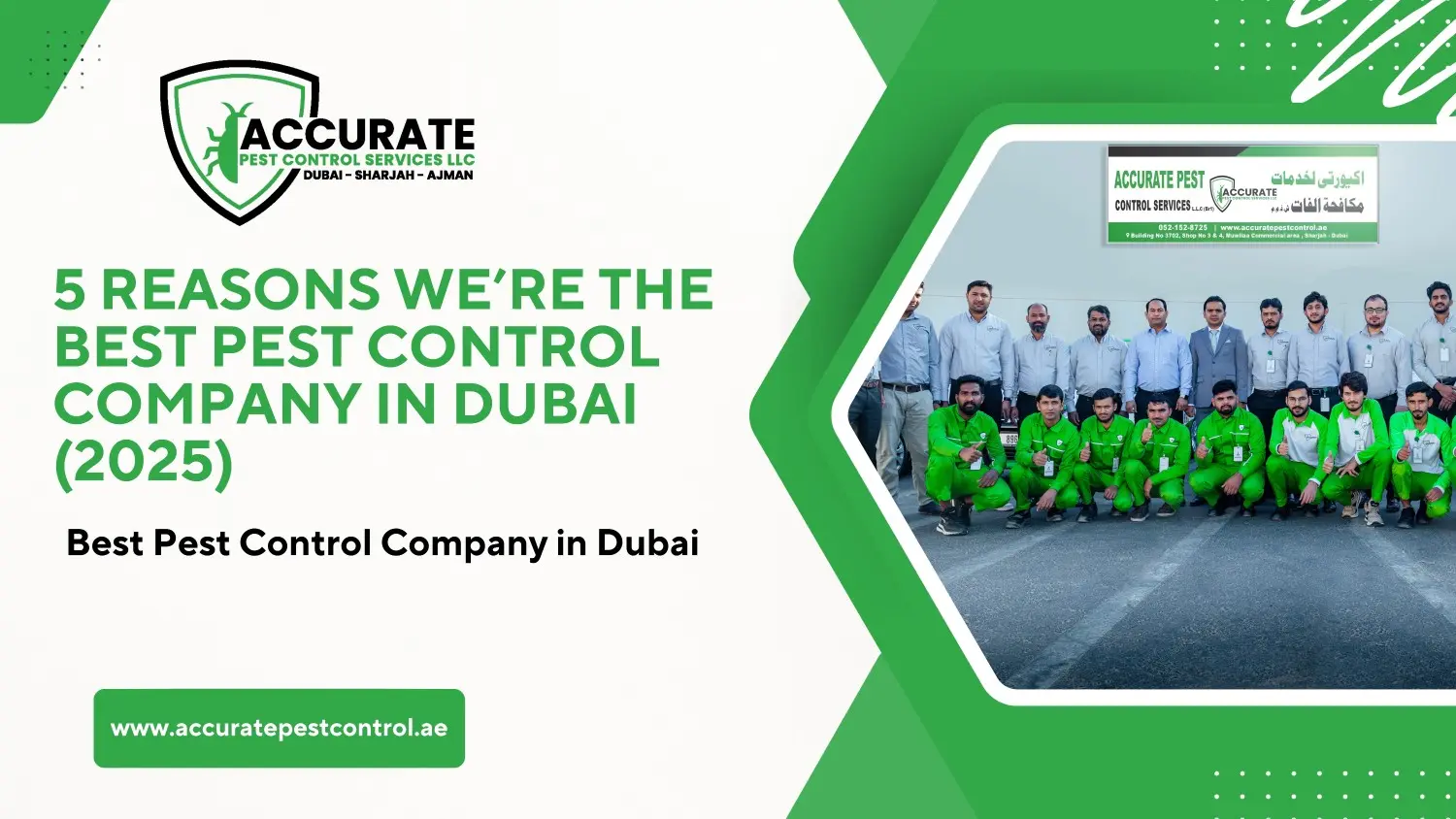 5 Reasons We’re the Best Pest Control Company in Dubai (2025)