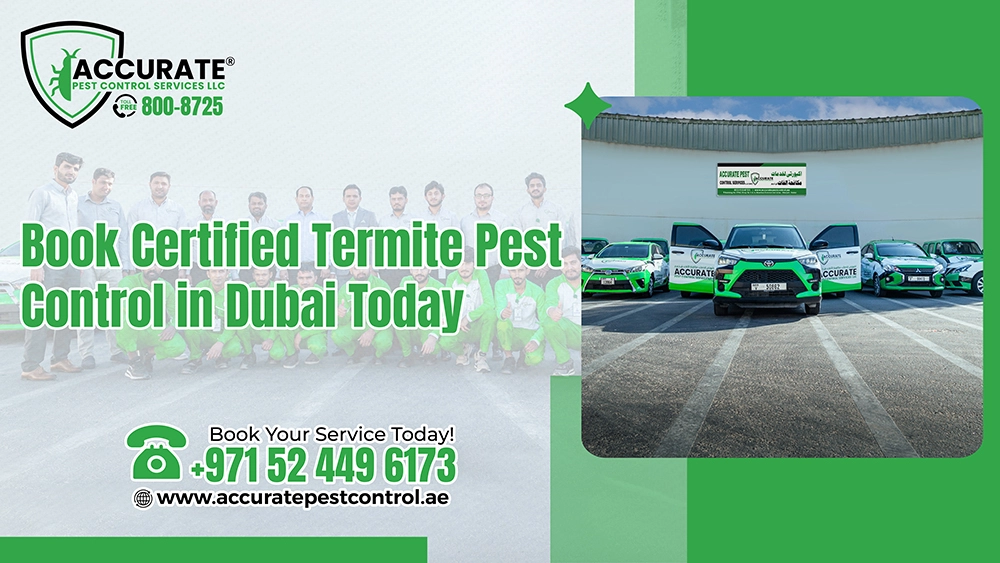 Book certified termite pest control in Dubai with trained experts and reliable service