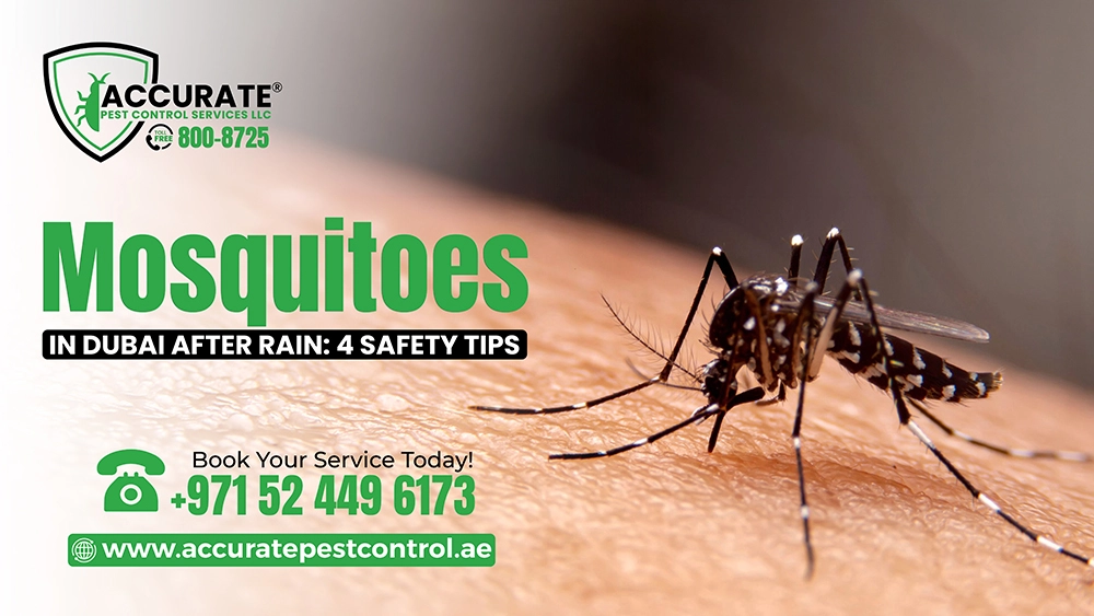 Mosquitoes in Dubai after rain safety tips and prevention guide