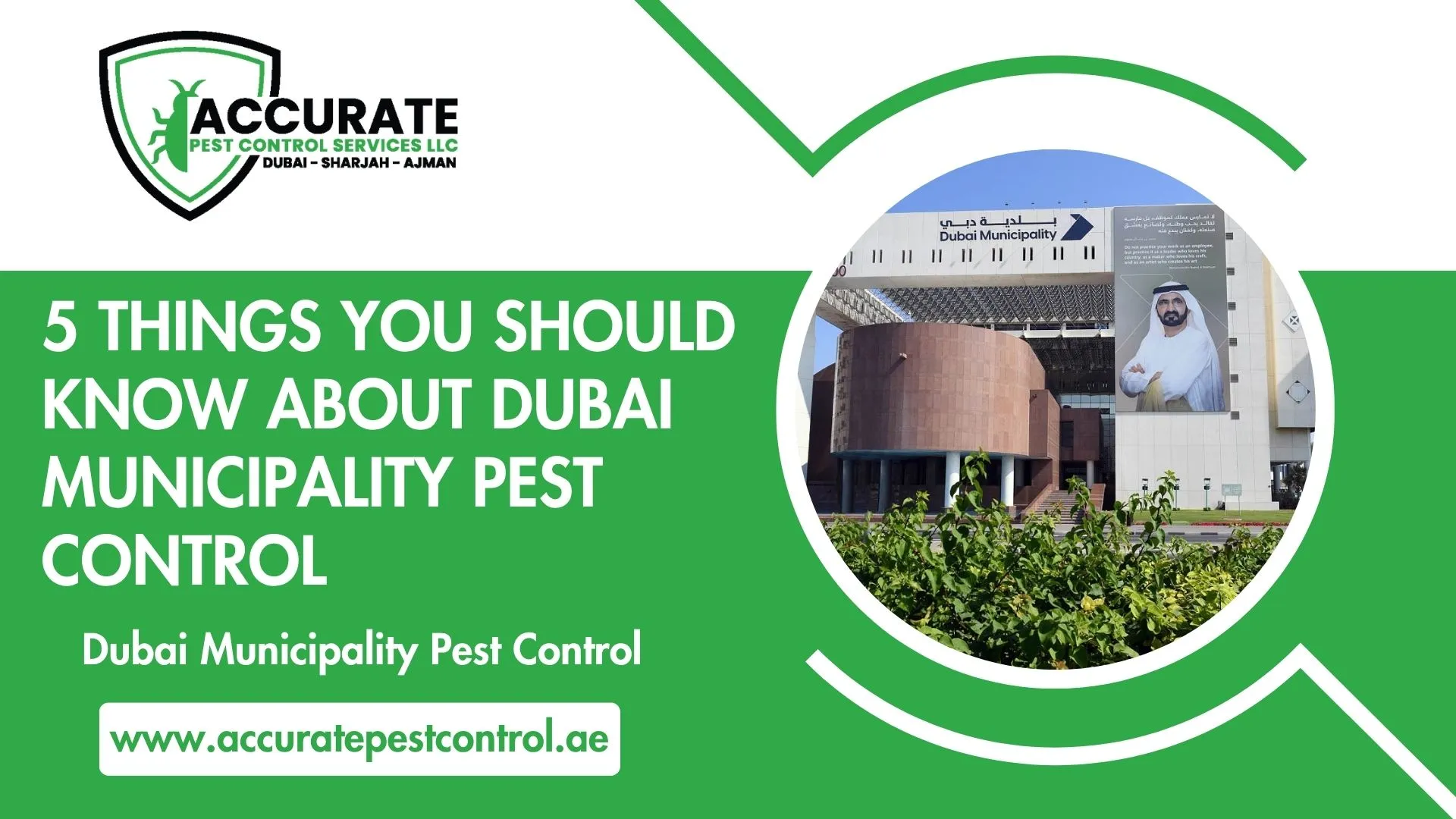 5 Things You Should Know About Dubai Municipality Pest Control