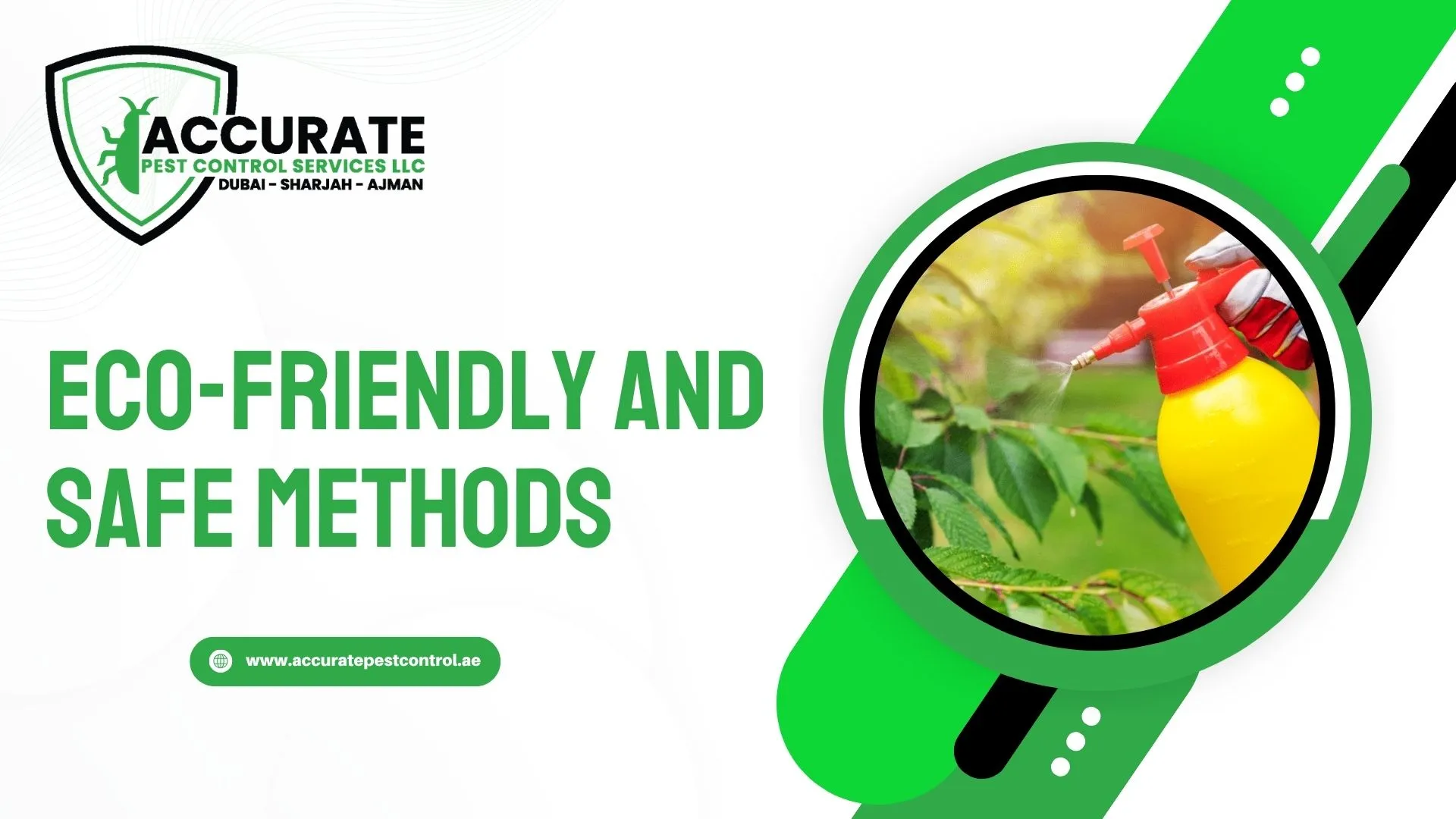 Eco-friendly pest control treatment using safe spray methods for residential areas in Dubai
