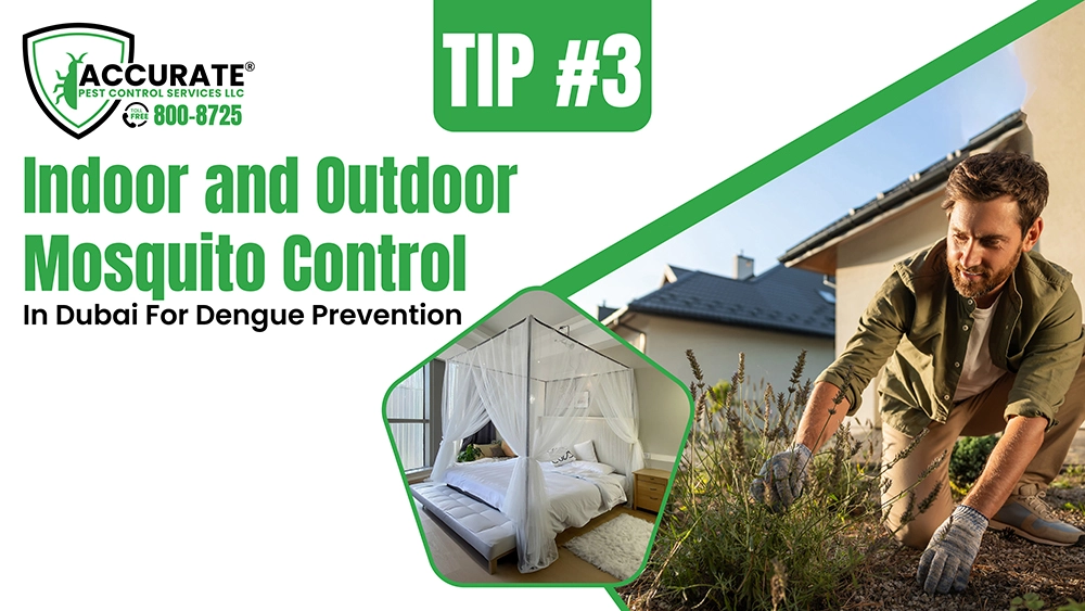 Indoor and outdoor mosquito control tips in Dubai for dengue prevention