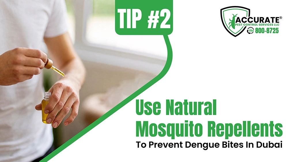 Natural mosquito repellents in Dubai help prevent dengue mosquito bites safely