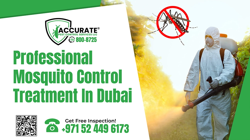 Professional mosquito control treatment in Dubai for long-term protection