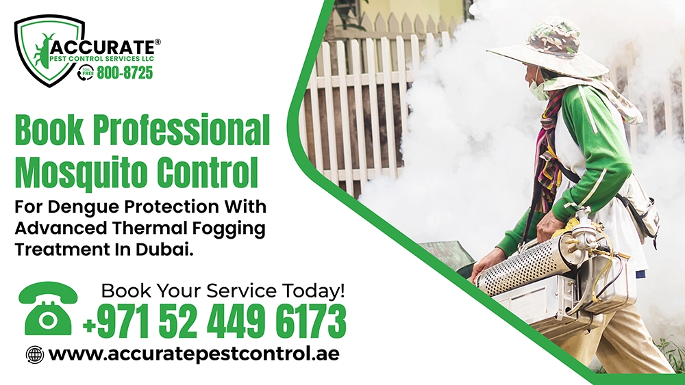 Indoor and outdoor mosquito control tips in Dubai for dengue prevention