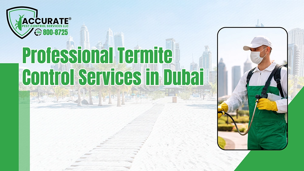 Professional termite control services in Dubai technician applying termite treatment 