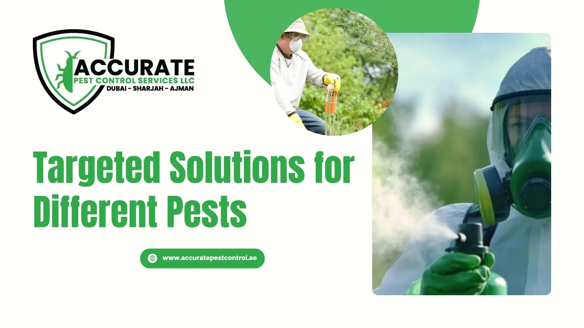 Technicians applying targeted pest control treatments following Dubai Municipality safety guidelines