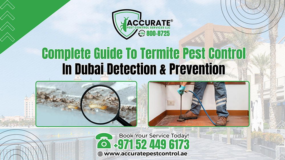 Termite pest control in Dubai with termite inspection and professional treatment service
