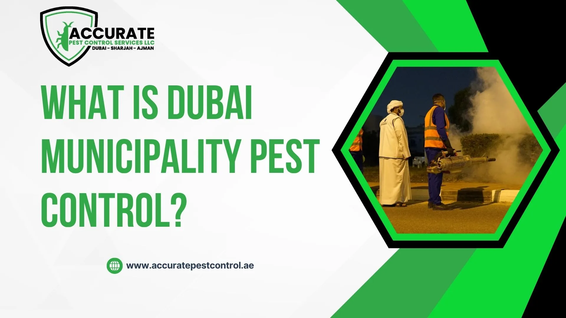 Municipality workers performing Dubai Municipality pest control using approved fogging methods