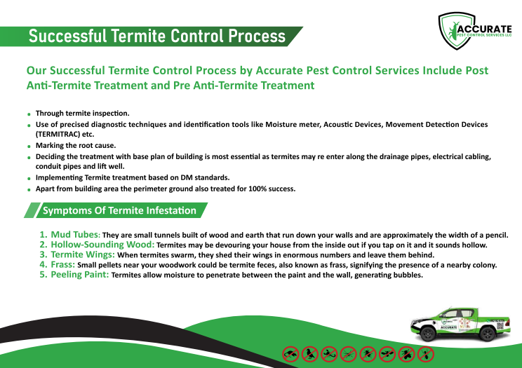 Accurate Pest Control Service in Dubai