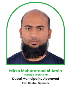 Accurate Pest Control Service in Dubai Mirza M Al Amin
