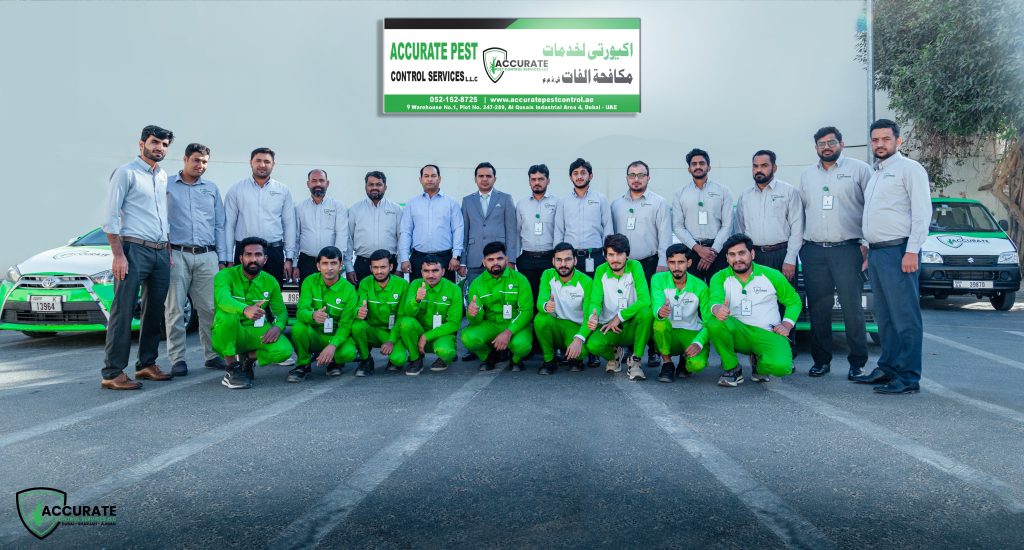 Accurate Pest Control Staff Team - job openings in dubai​