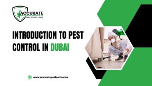 Introduction to Pest Control in Dubai