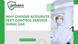 Why Choose Accurate Pest Control Service Dubai, UAE
