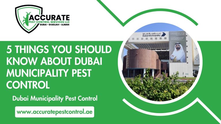 5 Things You Should Know About Dubai Municipality Pest Control