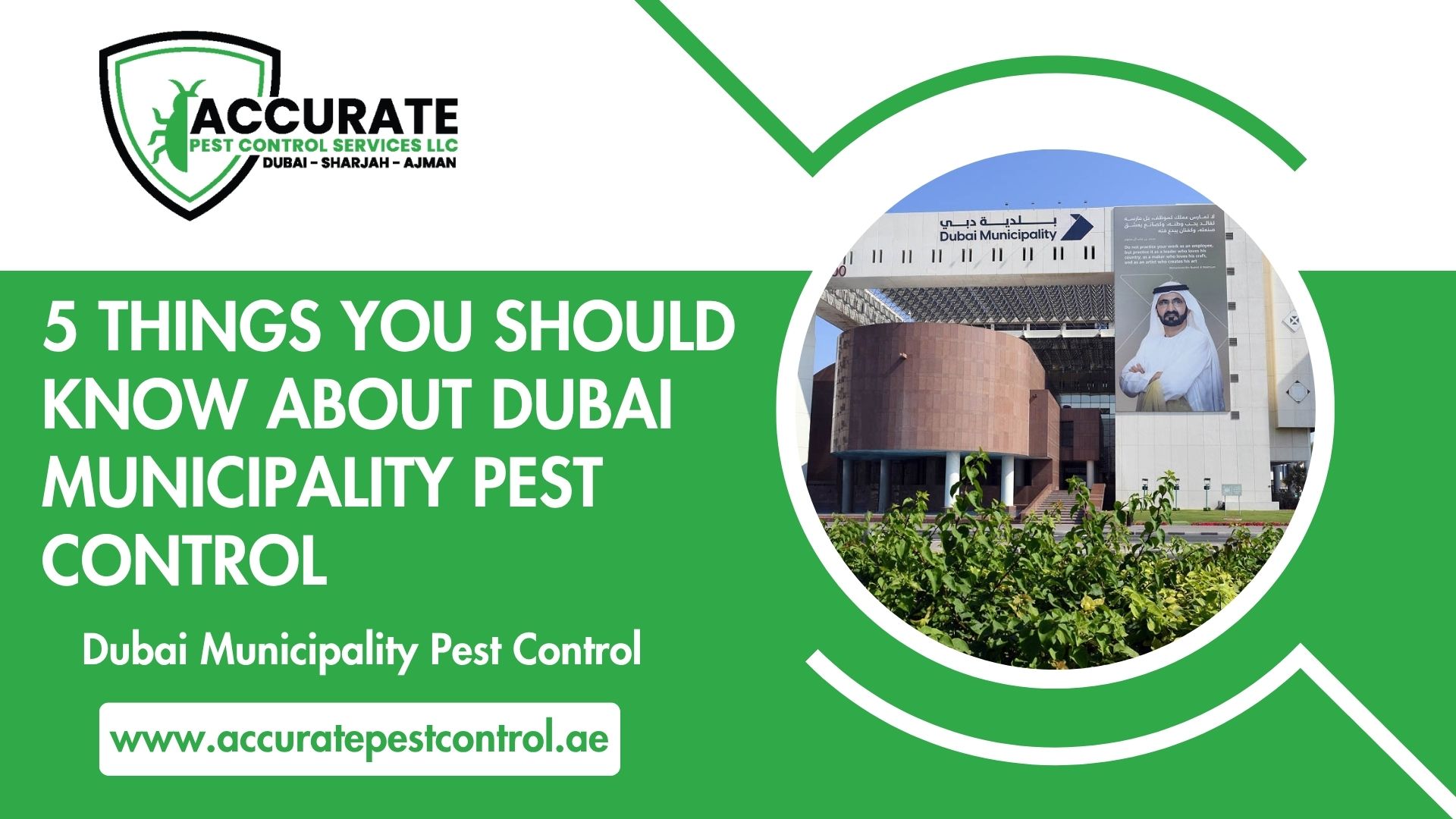 5 Things You Should Know About Dubai Municipality Pest Control