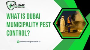 What is Dubai Municipality Pest Control