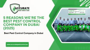 5 Reasons We’re the Best Pest Control Company in Dubai (2025)