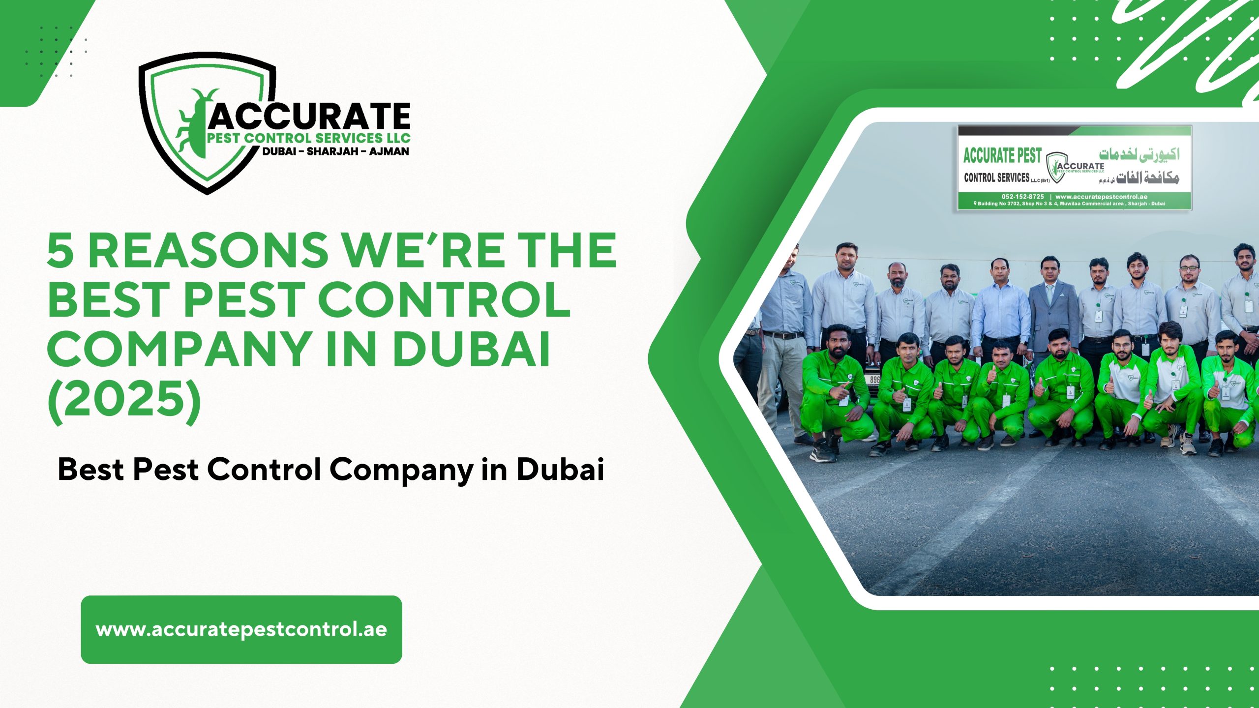 5 Reasons We’re the Best Pest Control Company in Dubai (2025)